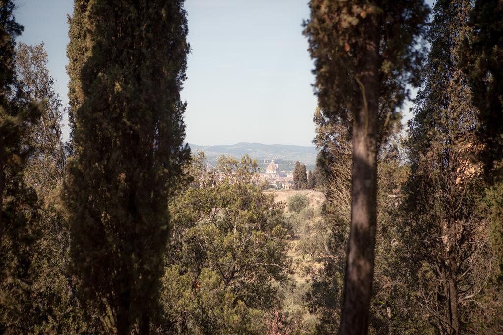 Fattoria Di Maiano *