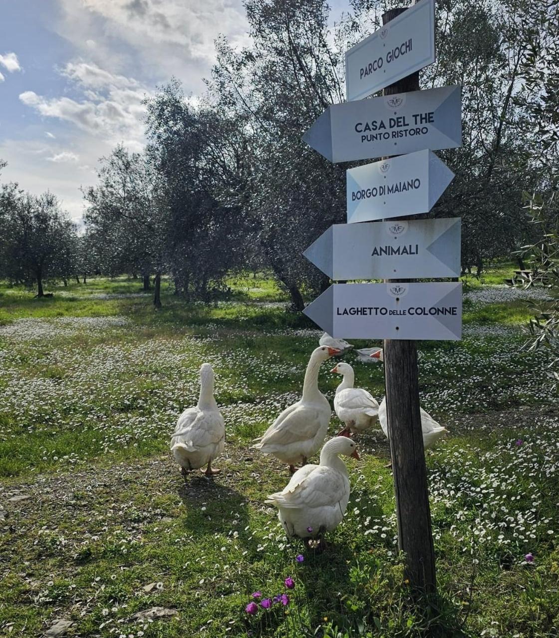 Fattoria Di Maiano *