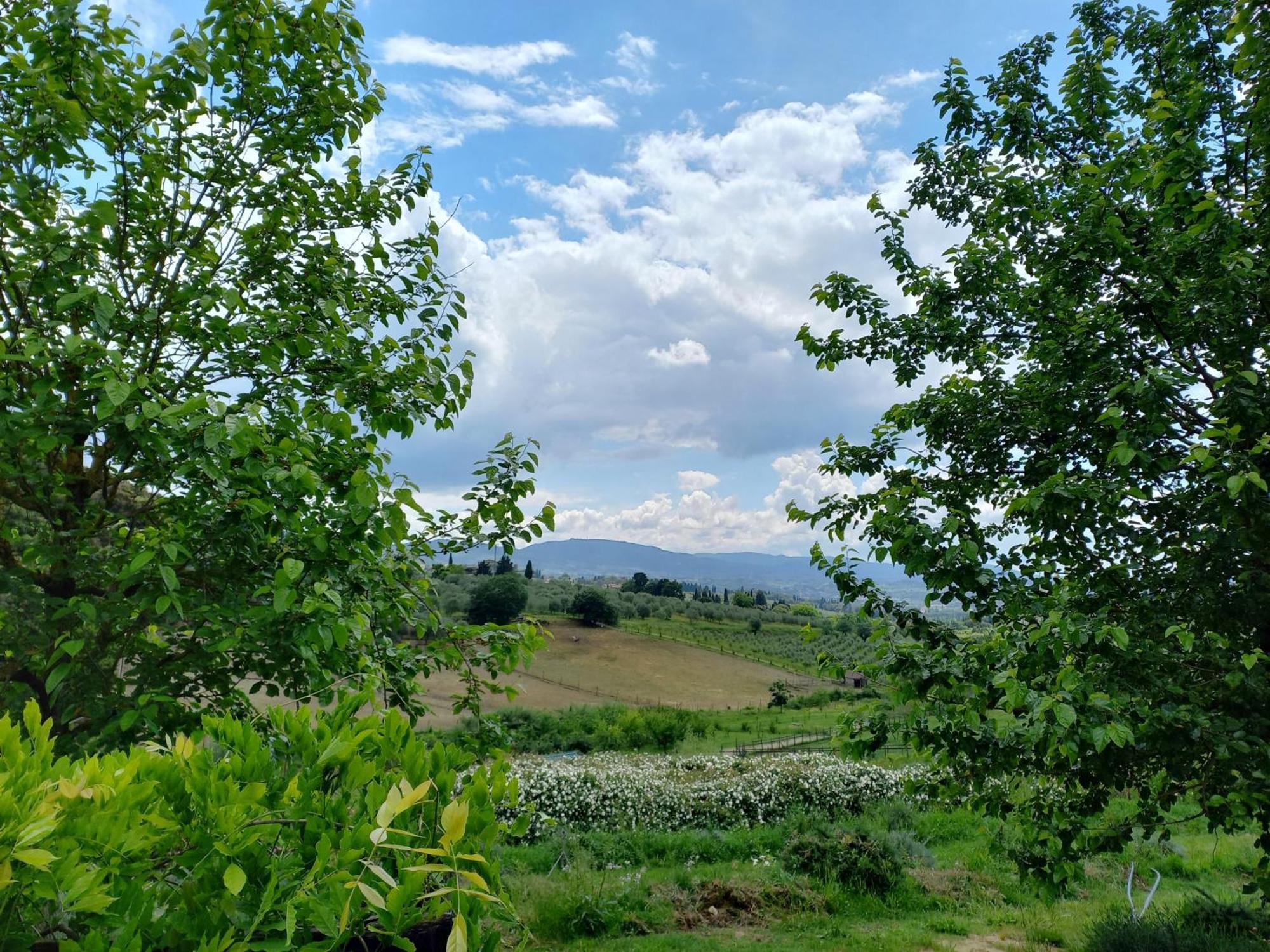 Fattoria Di Maiano Séjour à la ferme *
