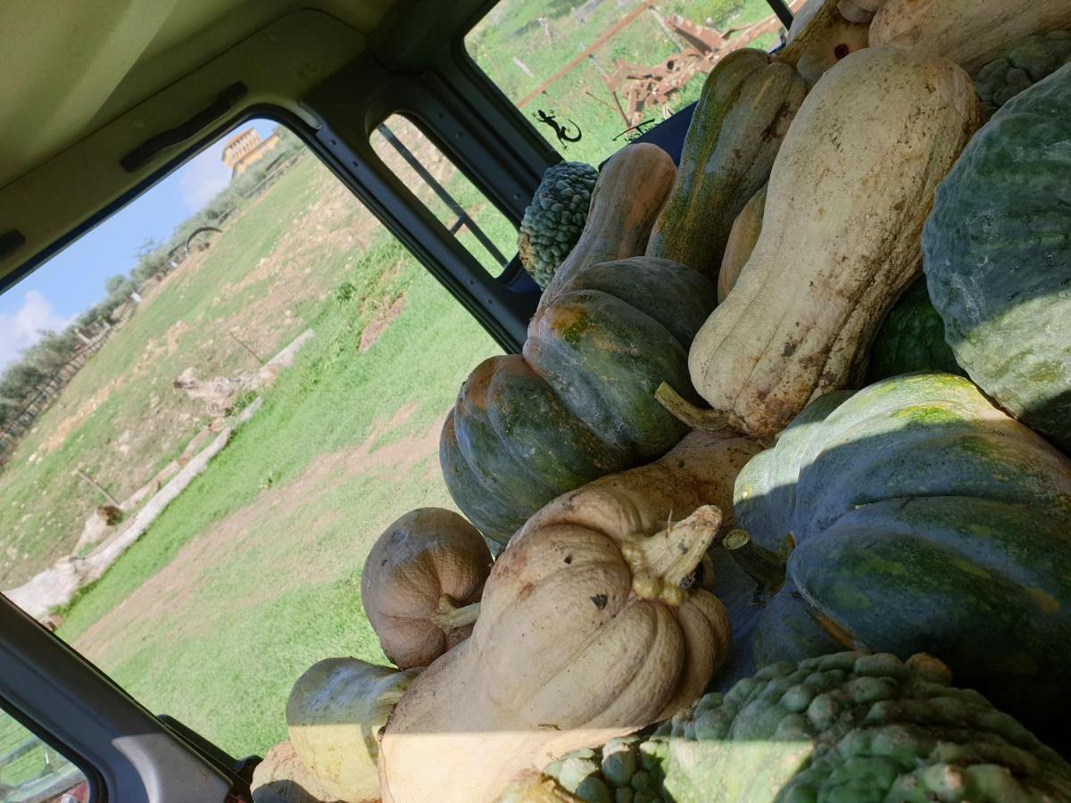 Séjour à la ferme Fattoria Di Maiano *