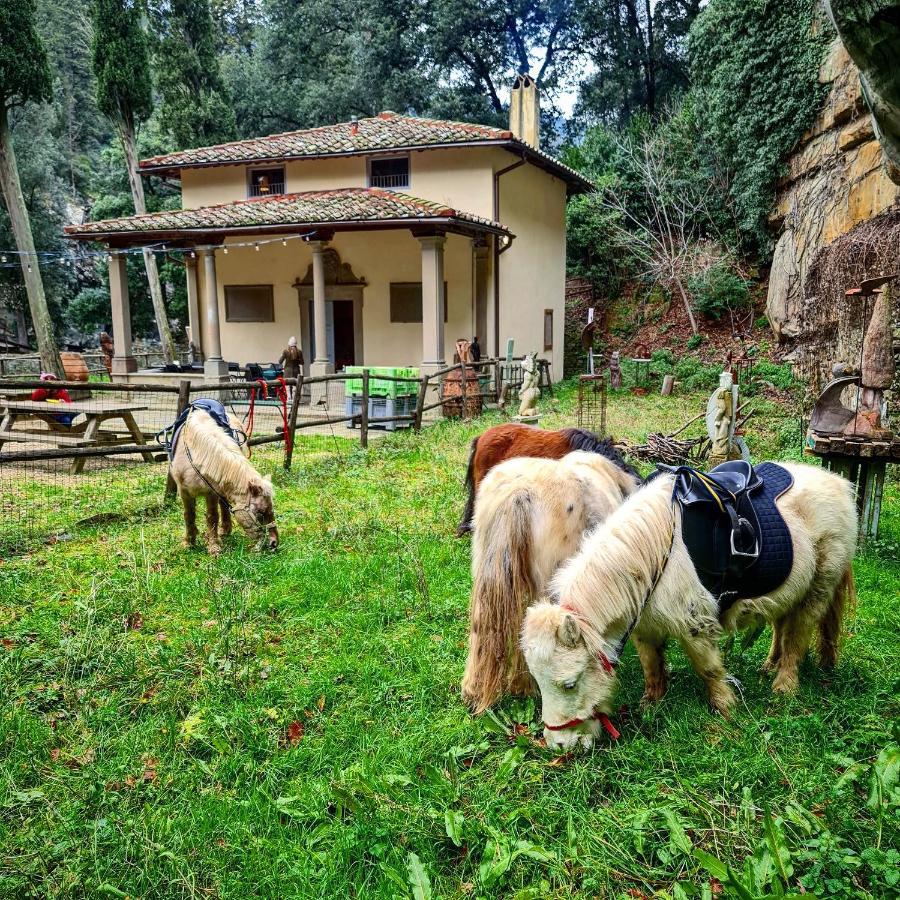 Fattoria Di Maiano