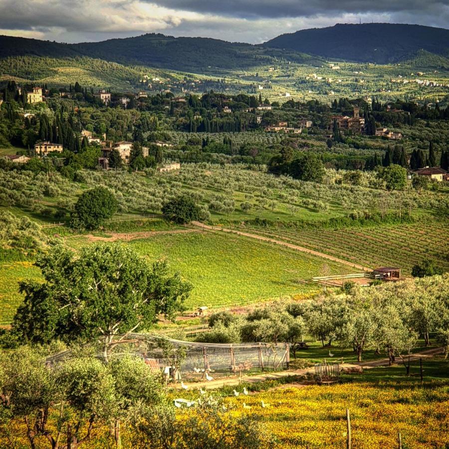 Fattoria Di Maiano Fiesole