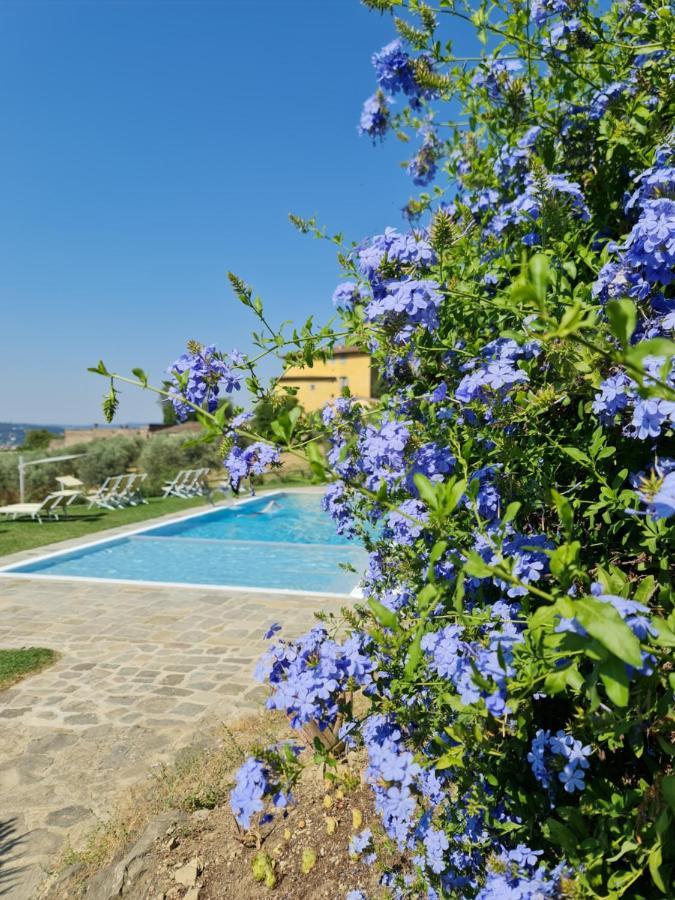 Fattoria Di Maiano *