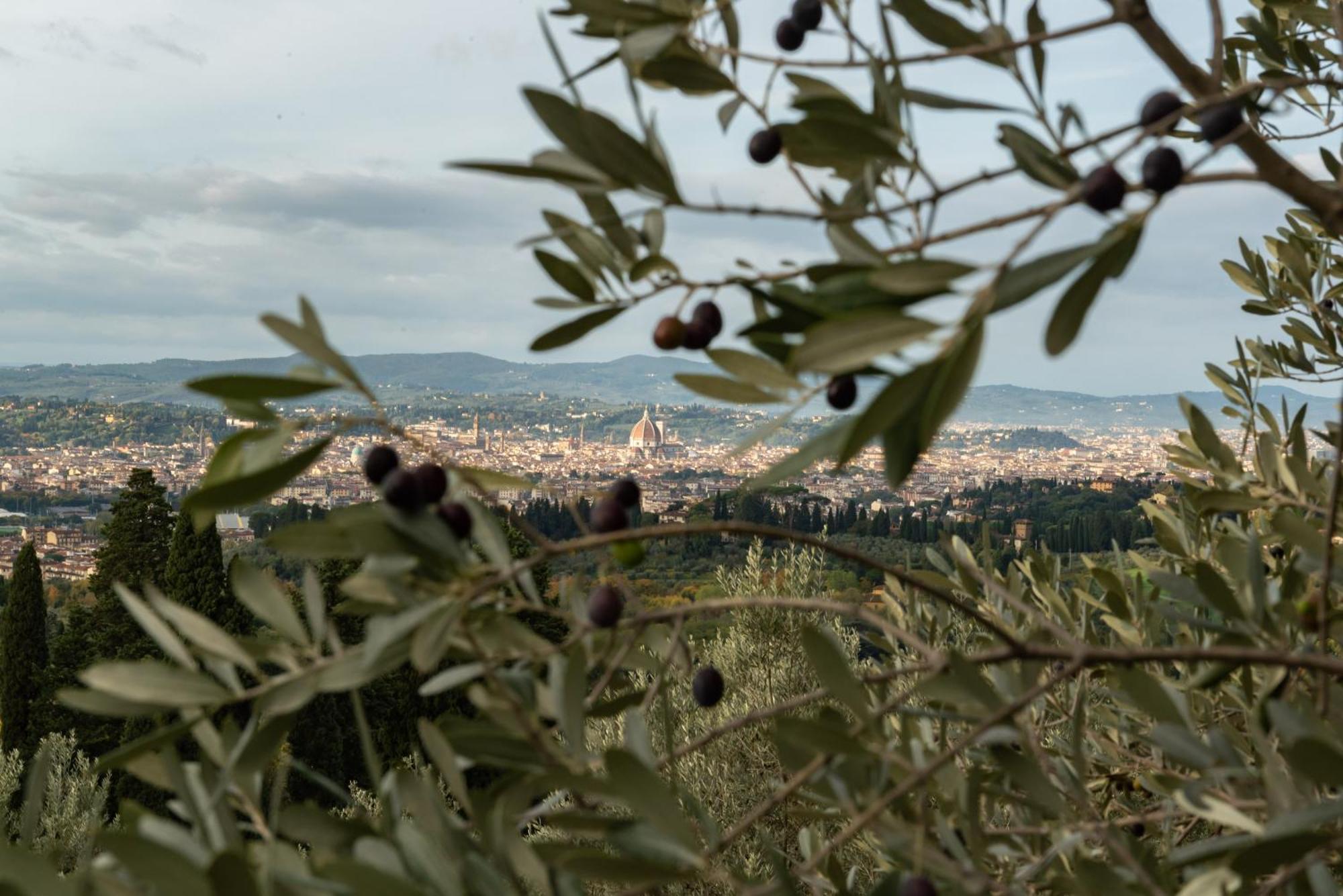 Alloggio per agriturismo Fattoria Di Maiano