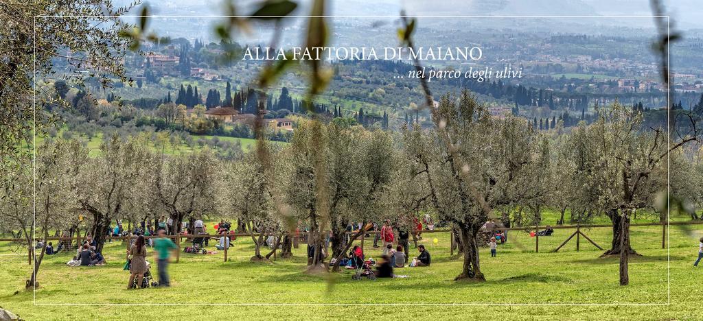 Alloggio per agriturismo Fattoria Di Maiano